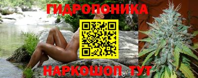 ПСИЛОЦИБИНОВЫЕ ГРИБЫ Изобильный