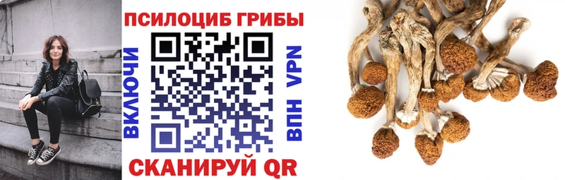 Галлюциногенные грибы мицелий  даркнет формула  Сафоново  ОМГ ОМГ ссылки 