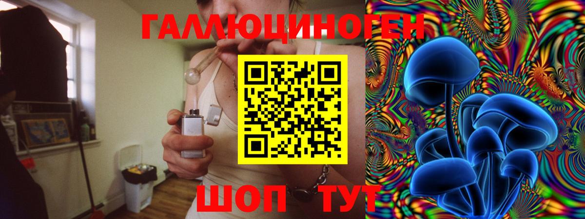 Галлюциногенные грибы Cubensis Сафоново